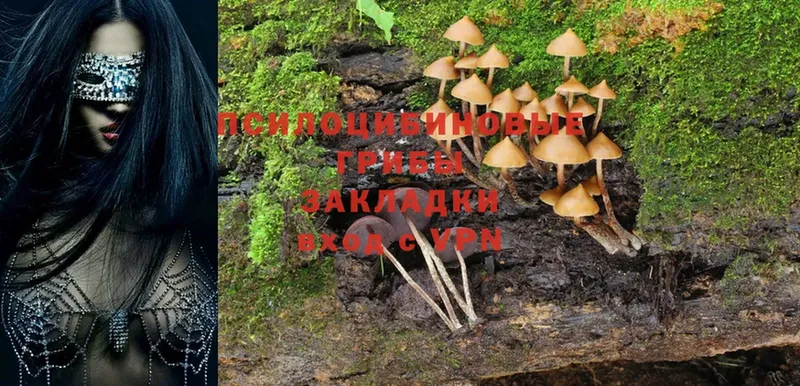 гидра сайт  Бийск  Псилоцибиновые грибы MAGIC MUSHROOMS  дарнет шоп 